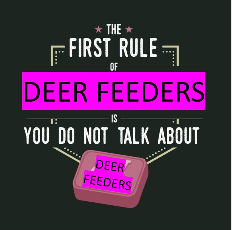 feed.png