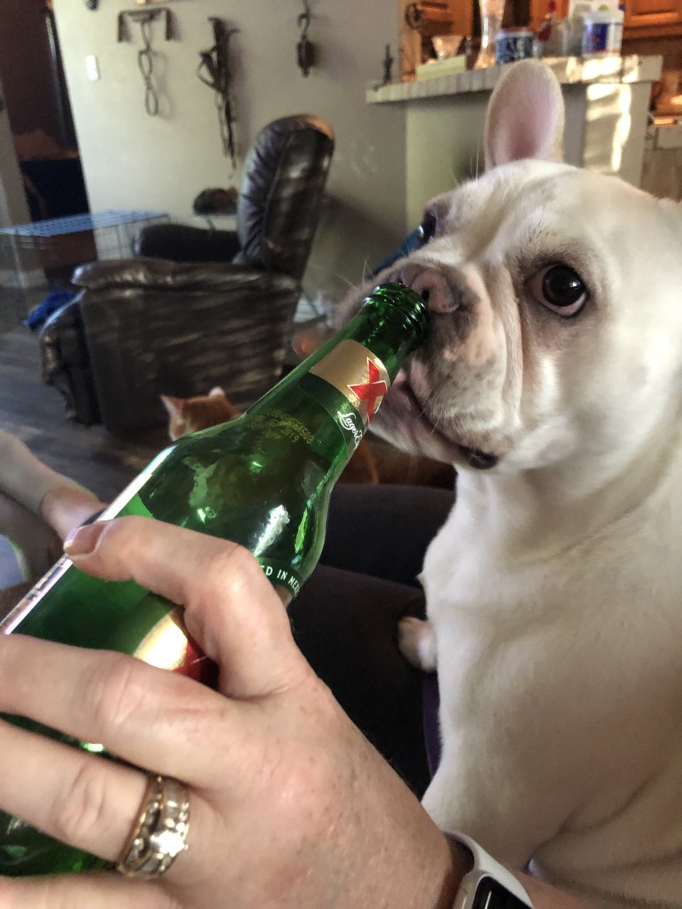 FEED0A8A-D322-461D-8C06-F3BBD7F99BC0.jpg