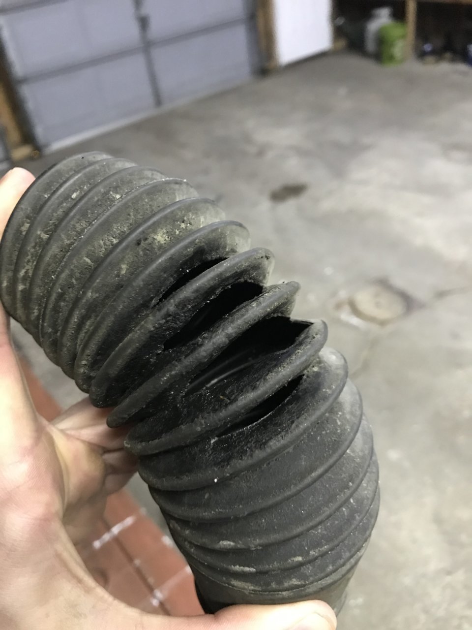 FEF2C9EF-1465-4CEC-9A58-9BC4ECD13AAF.jpg