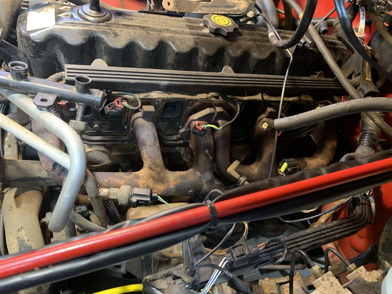 FEF3CD19-DB0A-4452-88B5-D06024427653.jpg