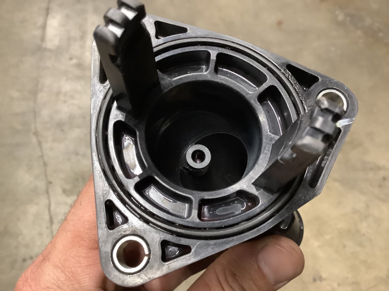 FEF51135-6045-4C3A-A5E6-63E579989E50.jpg