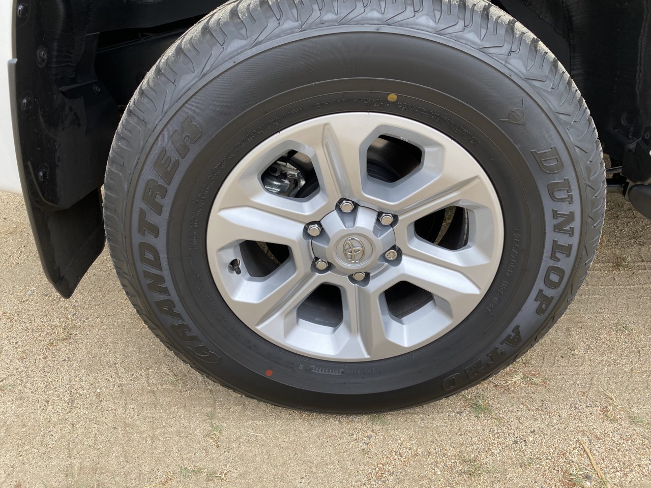 FEF81160-CFFF-4371-ADA9-8A13457658AA.jpg