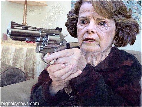 feinstein.jpg