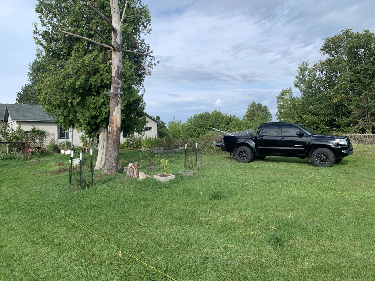 fence tear down.jpg