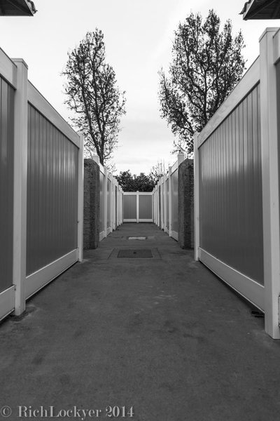 Fence_BW_tn.jpg