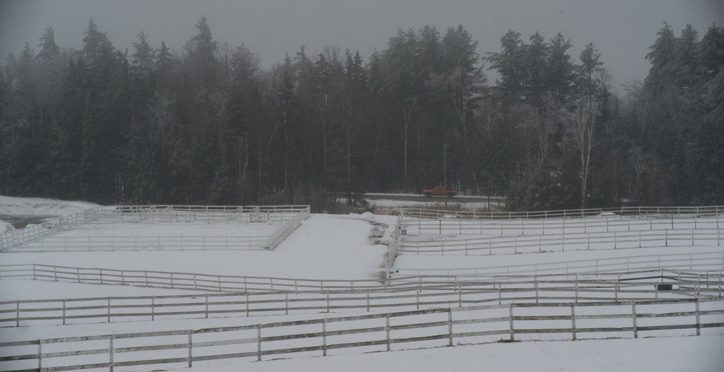 fences_2_f6873efd76f41bd31b3164780e1c747cb5d268a6.jpg