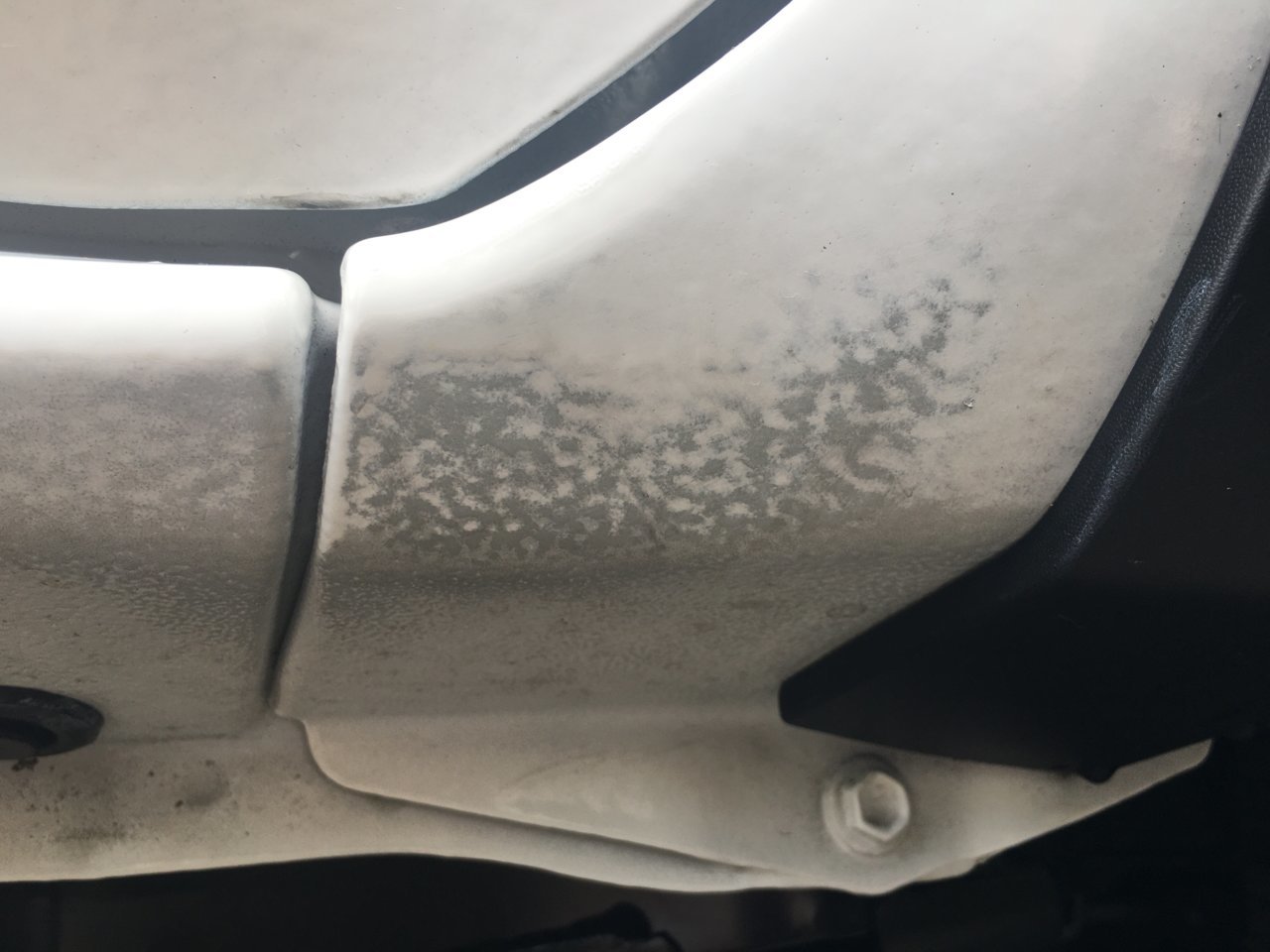 fender.jpg