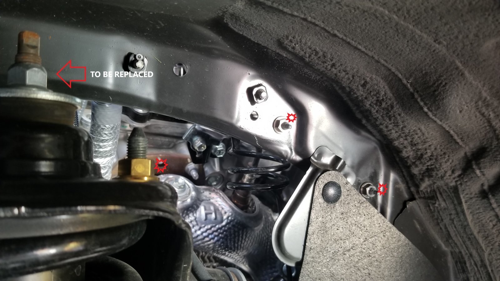 FENDER TI.jpg