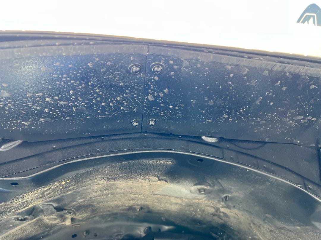 Fenderliner1.jpg