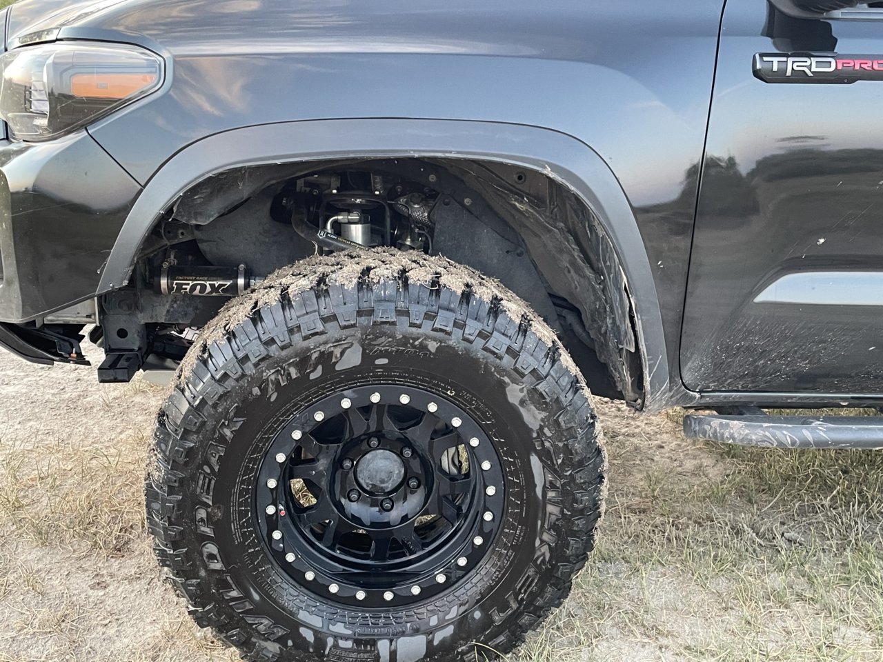 Fenders Cut.jpg