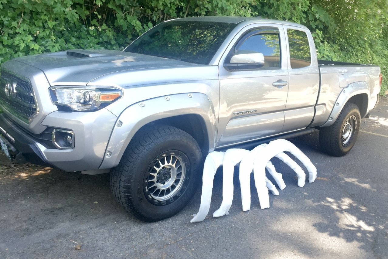 Fenders.jpg