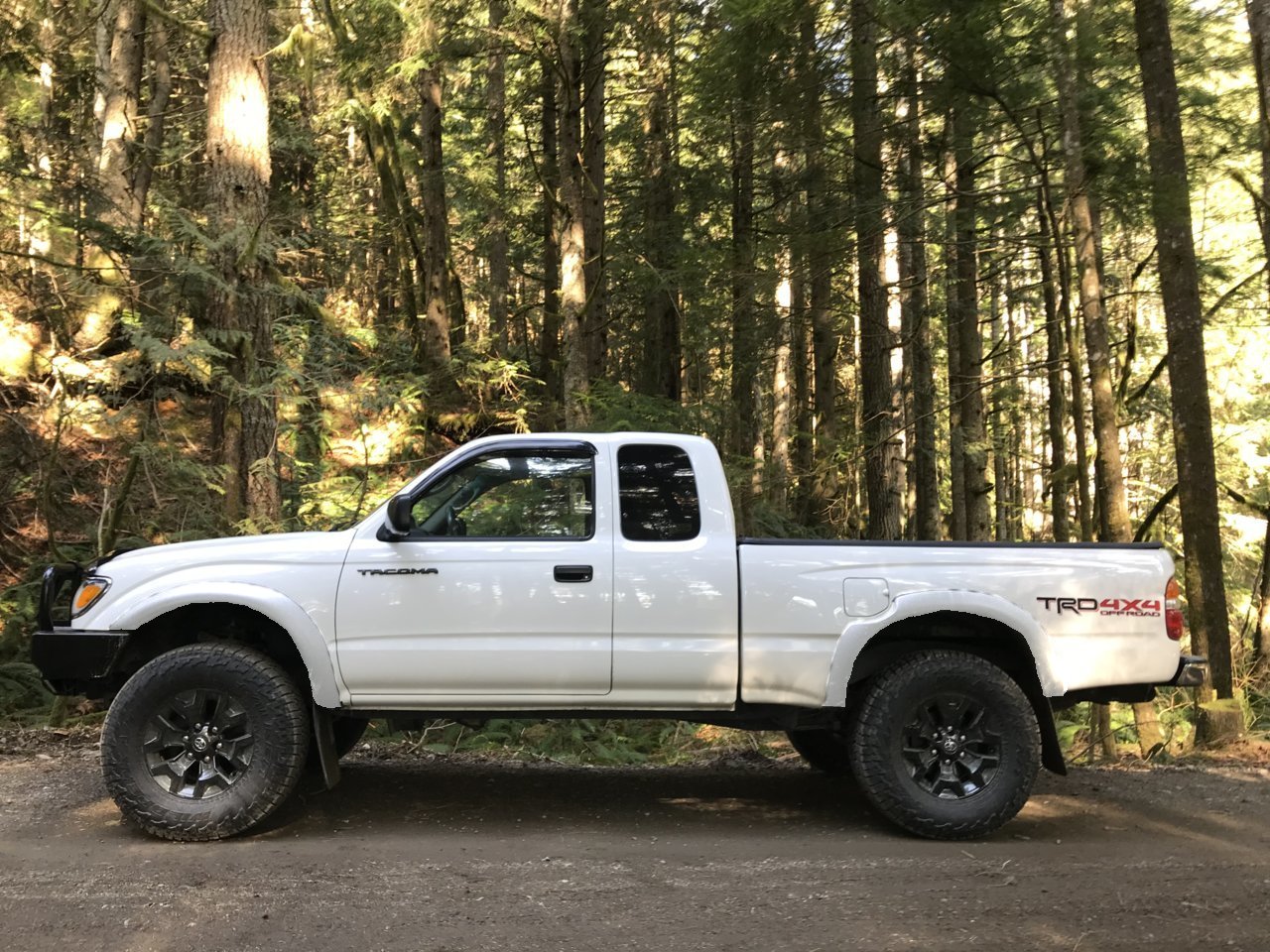 fenders.jpg
