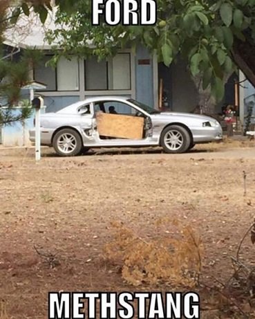ferd.jpg