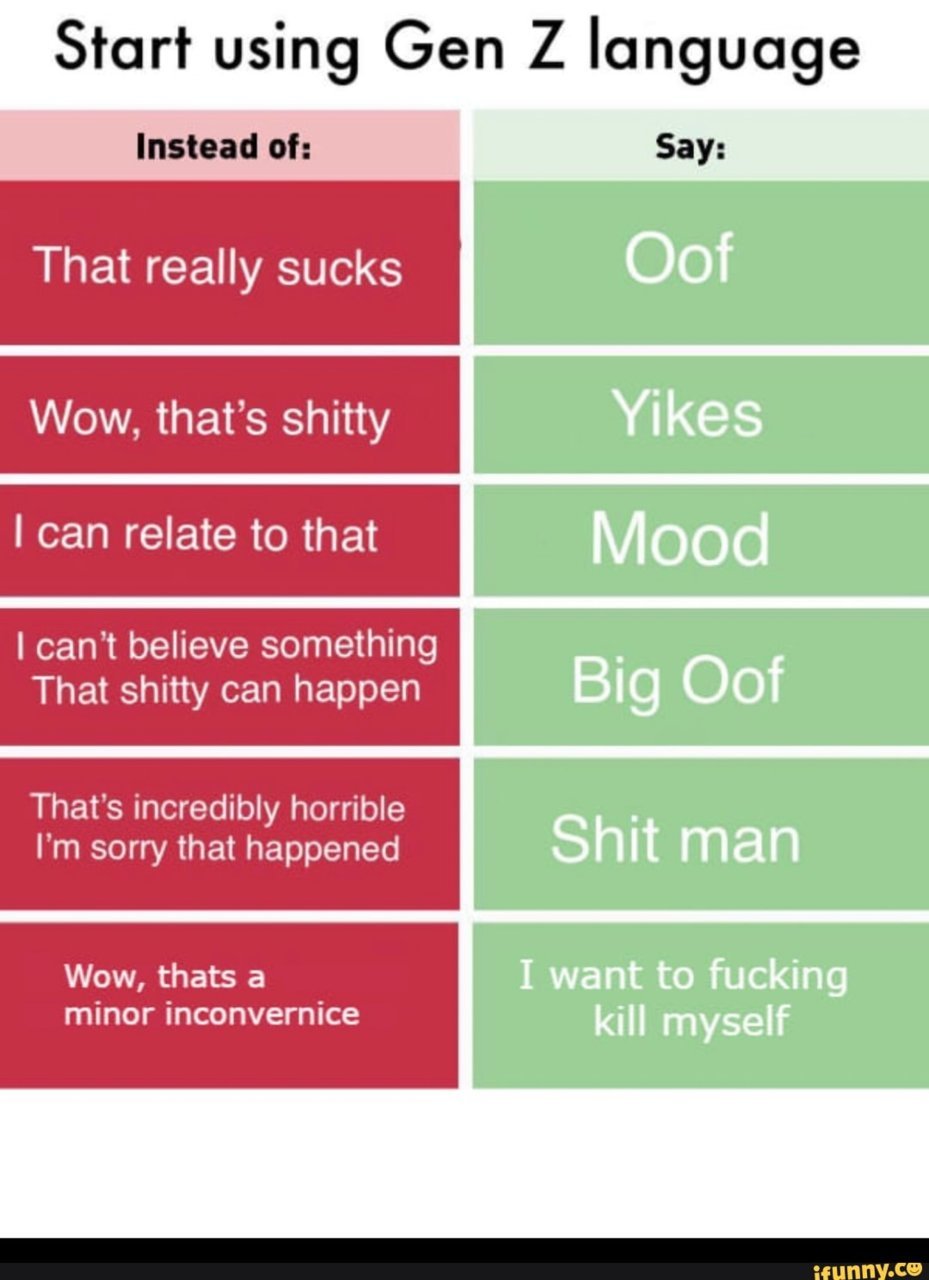 ferfefr.jpg
