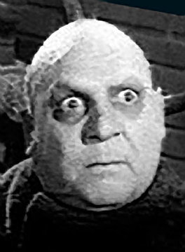 fester-web.jpg