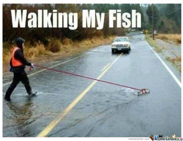 fetchimage (1).jpg