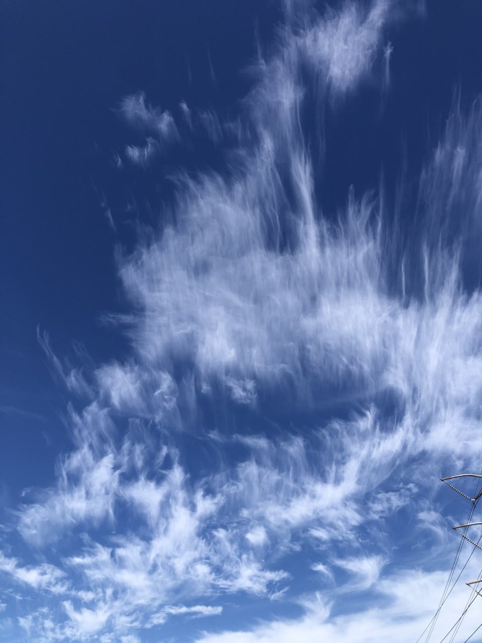 FF06C166-4B42-4418-9589-6460837FA5C1.jpg