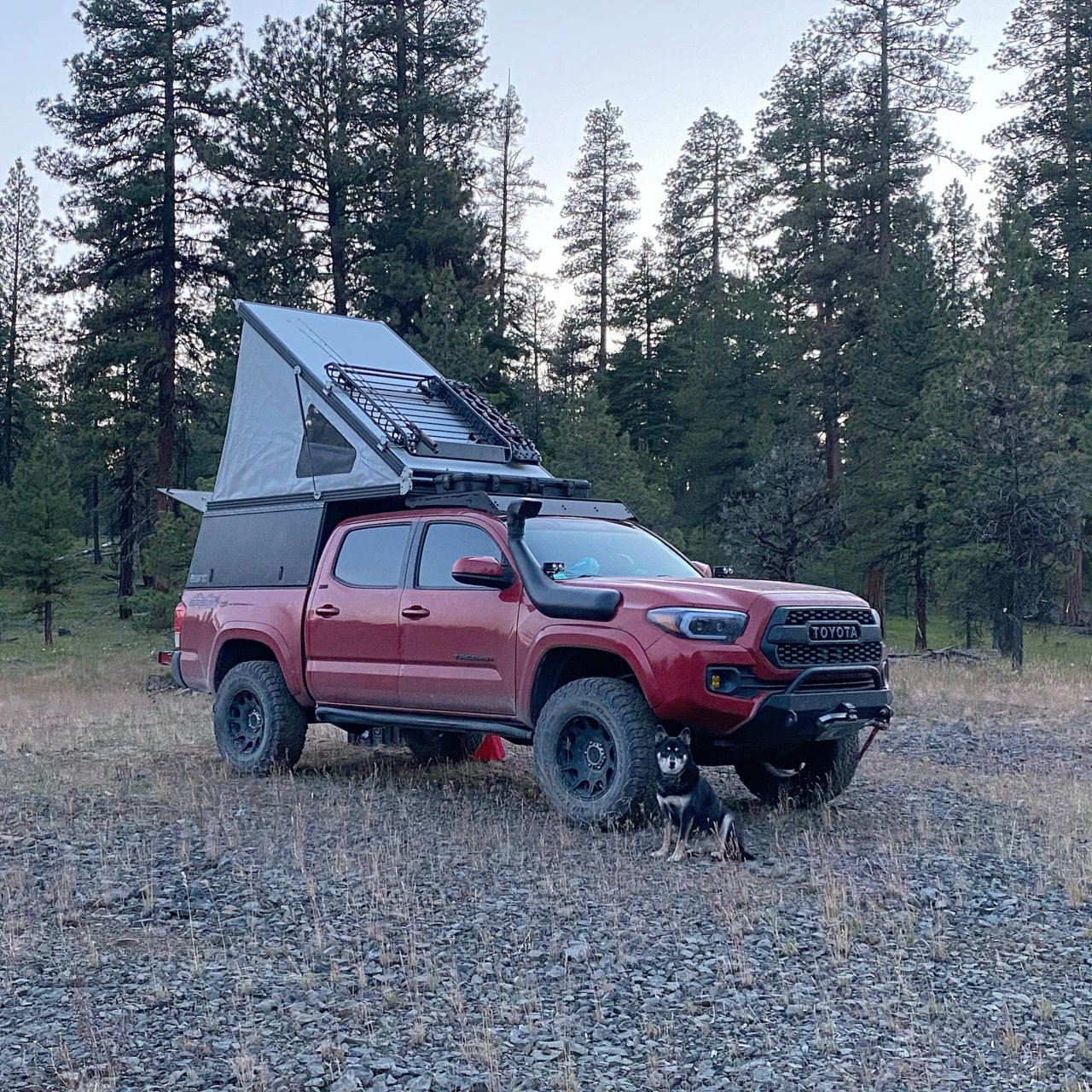 TACOCAMPER's 2017 Tacoma Build | Page 6 | Tacoma World