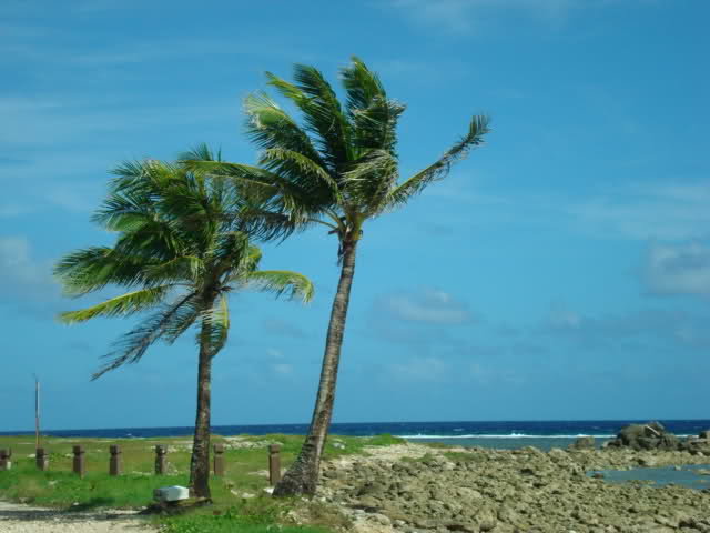 ff4ll5_1494d73569bc57d3813718676e8d8e630b2de3e6.jpg