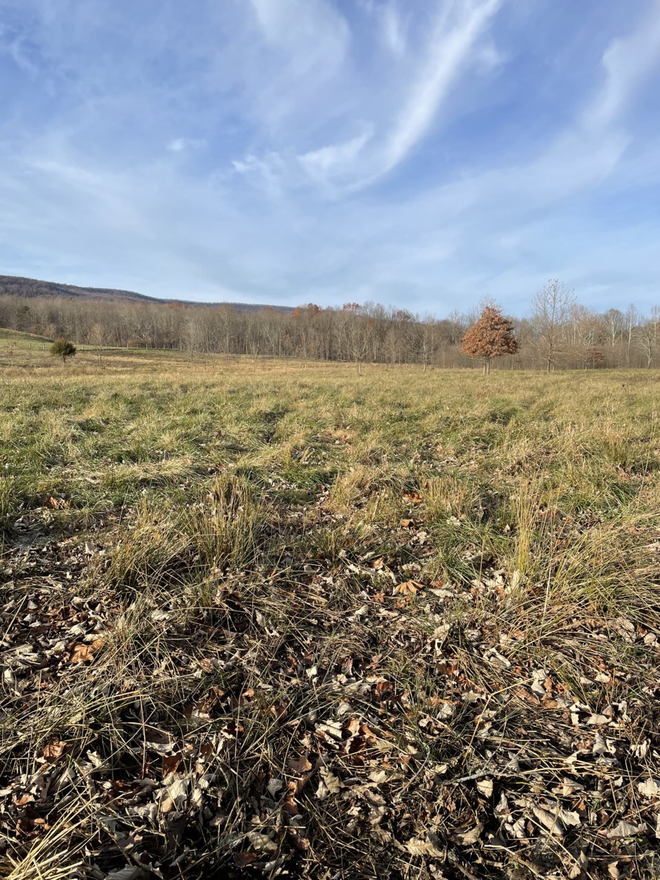 FF6D744D-29CA-405D-9826-0CF1DAED4221.jpg