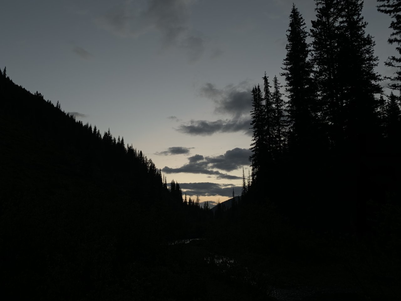 FF852D76-4CBB-43F9-BC0D-9B1DF1905808.jpg