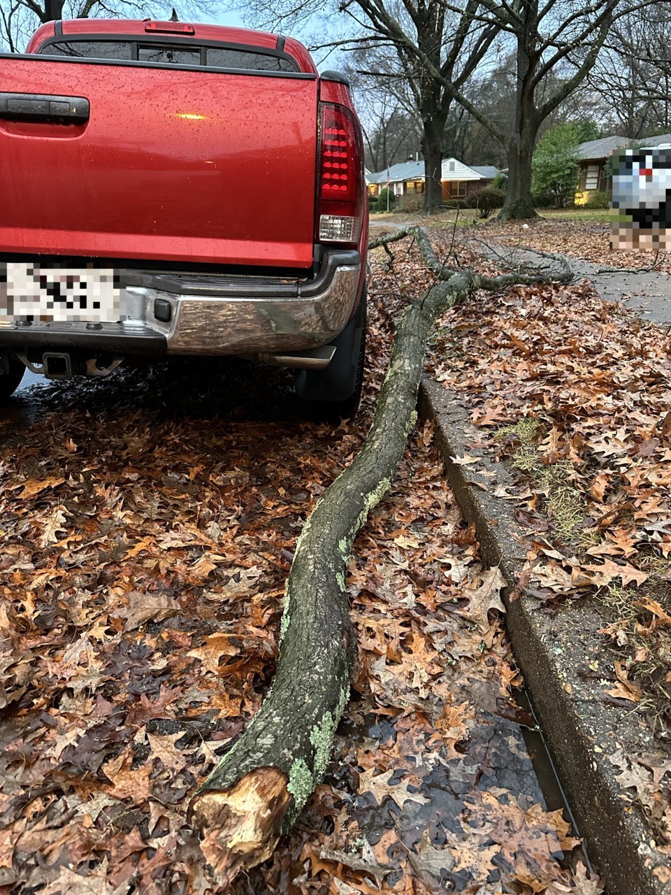 FFA379E3-AE61-41D4-89C9-32541AFE896C.jpg