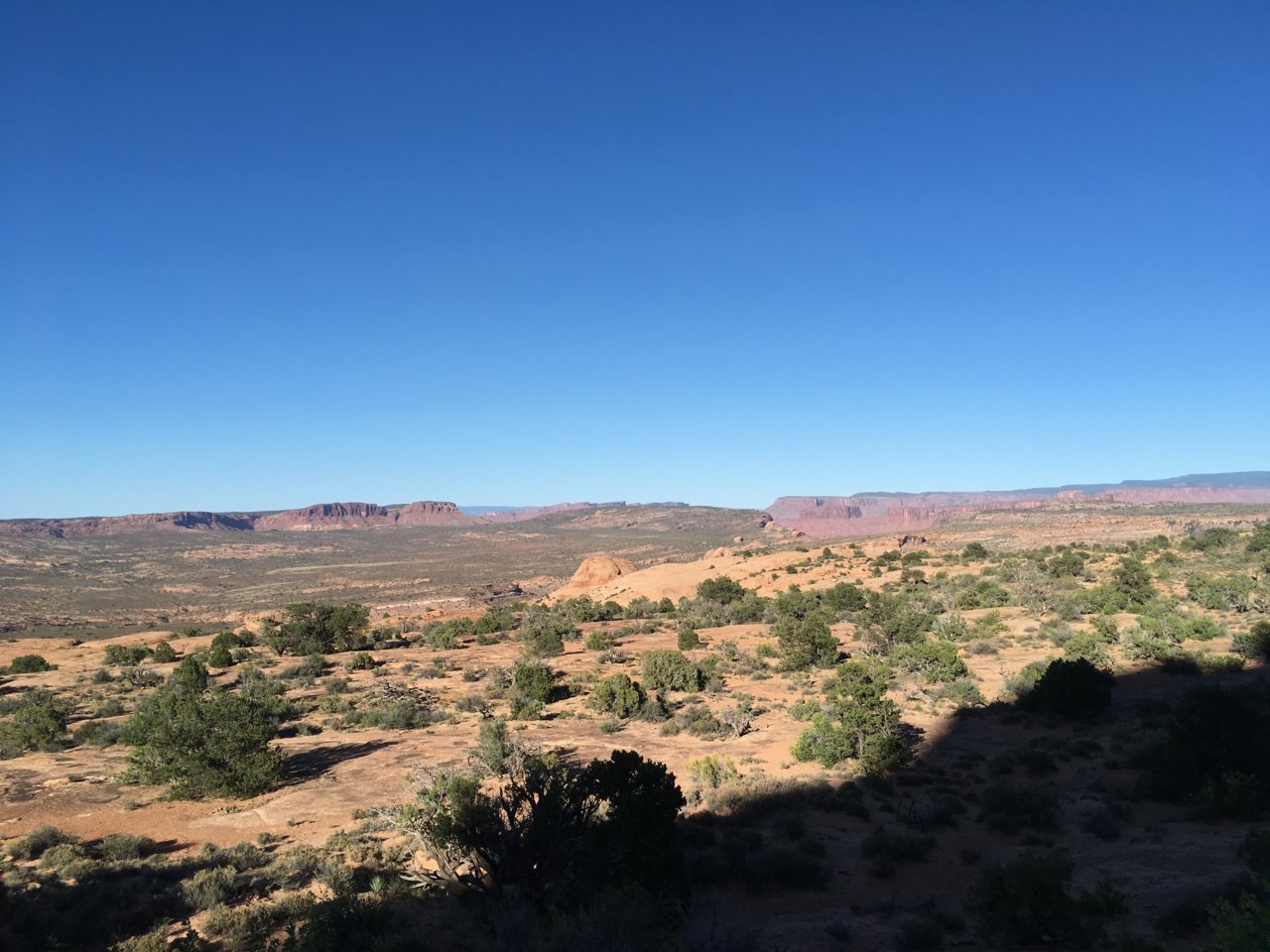 FFD8D08D-5560-4644-9F1B-37583B7192E6.jpg