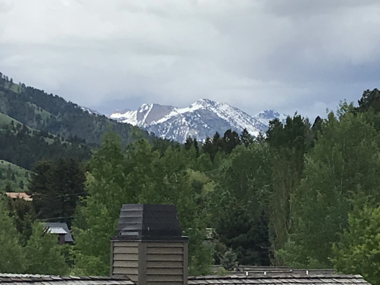 FFEF0D68-559E-415A-B336-4BC69AAA5C7B.jpg