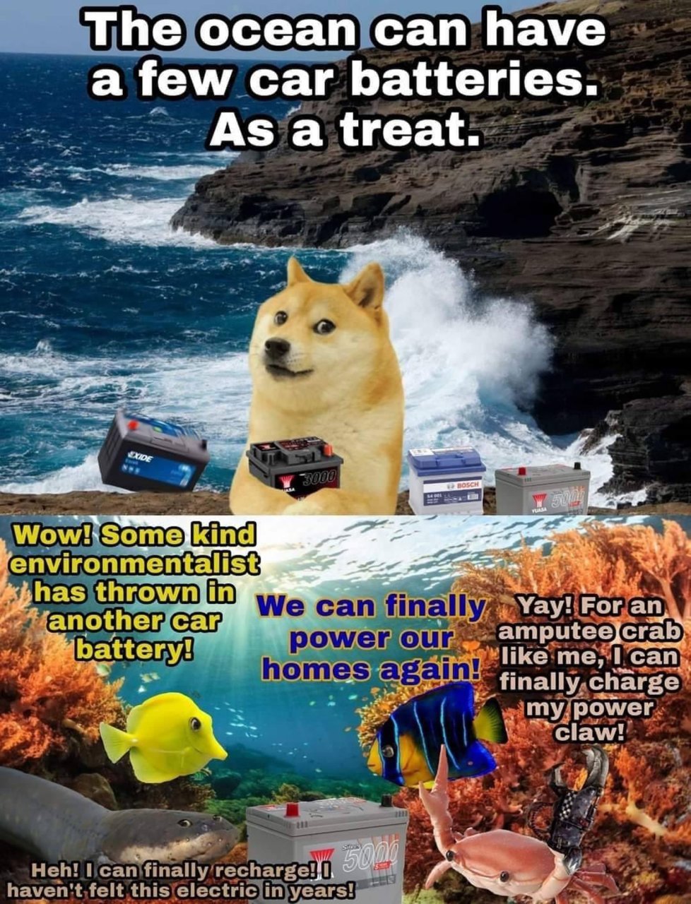 FFWdbduXoAkELHl.jpg
