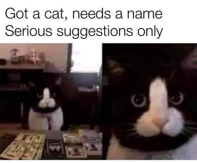 FfWsX9FXwAkztmQ.jpg