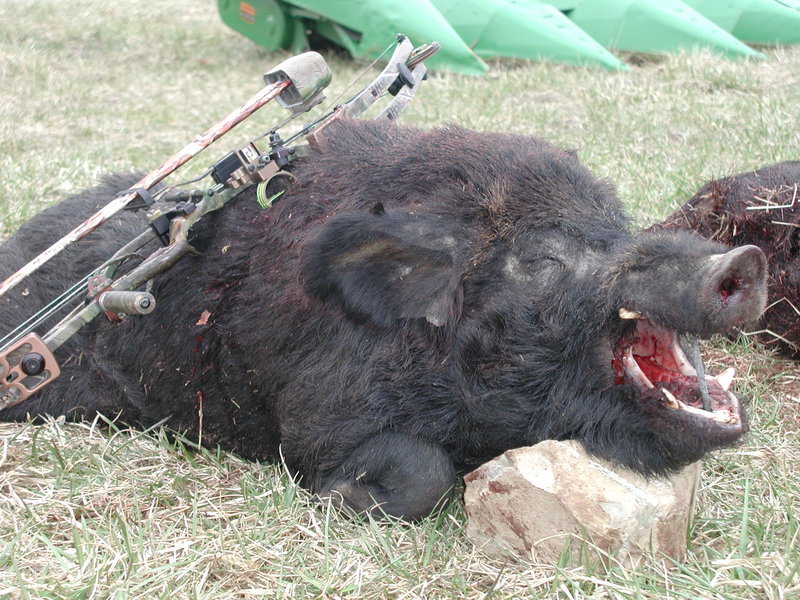 FH000015.jpg