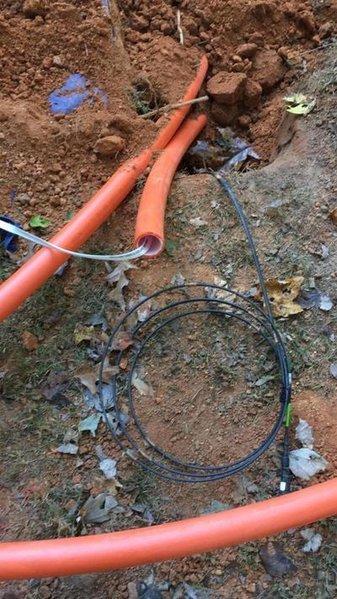 fiber.jpg