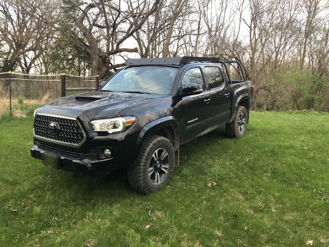 field taco 1.jpg