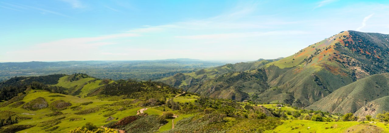 fig mountain small.jpg