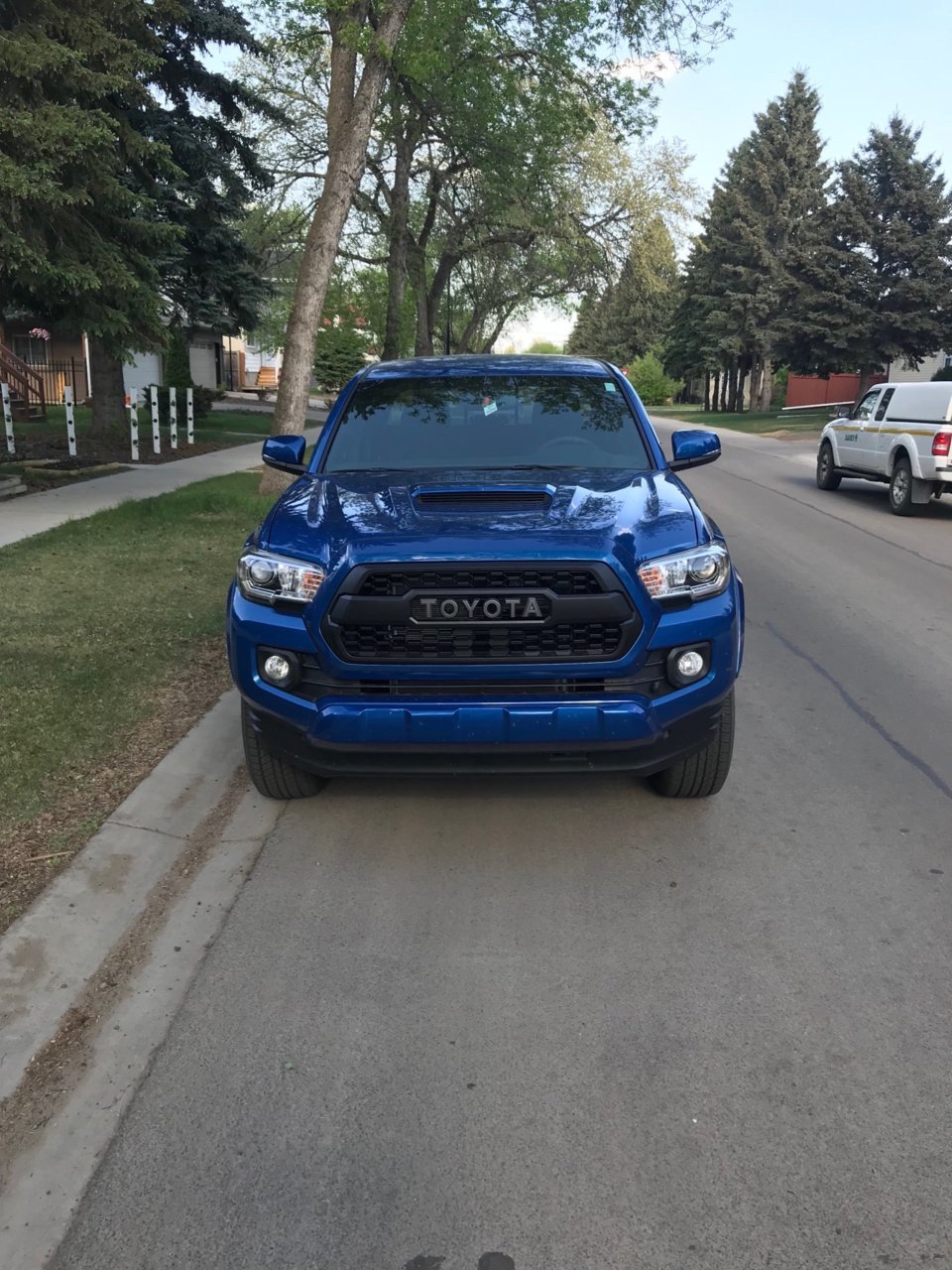 file-3 1.jpg