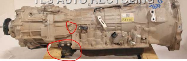 Fill plug.jpg