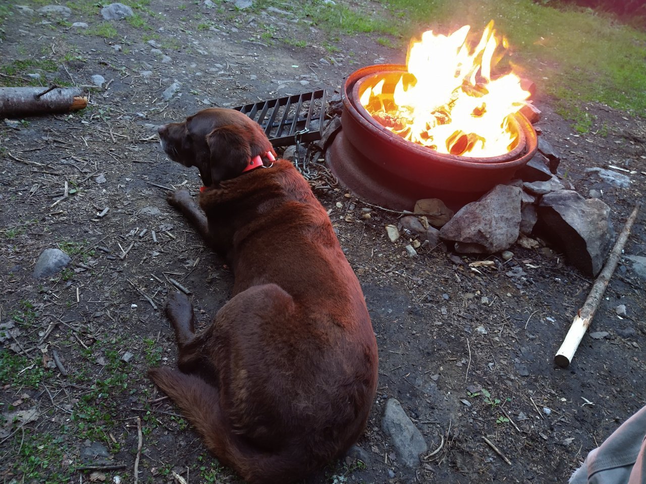 Fire Emmie.jpg