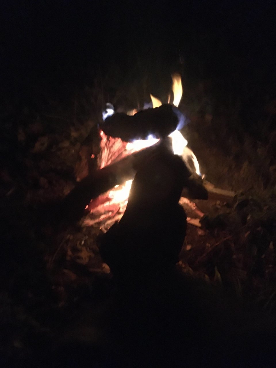 Fire.jpg
