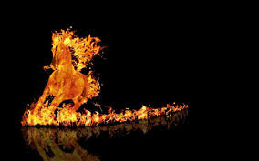fire uni.jpg