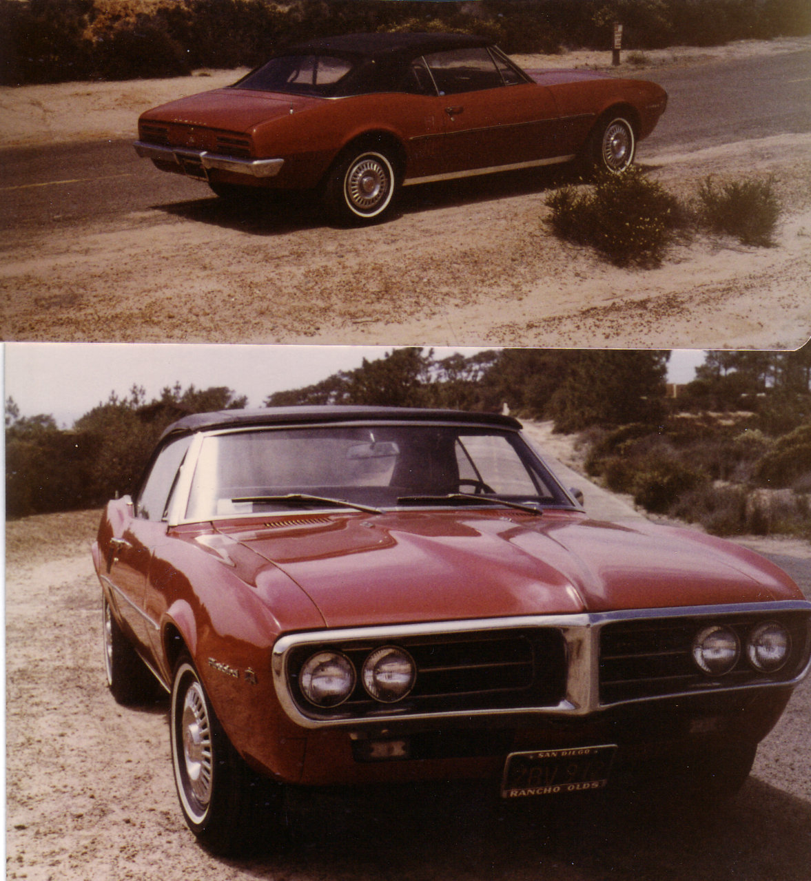 FIREBIRD.jpg