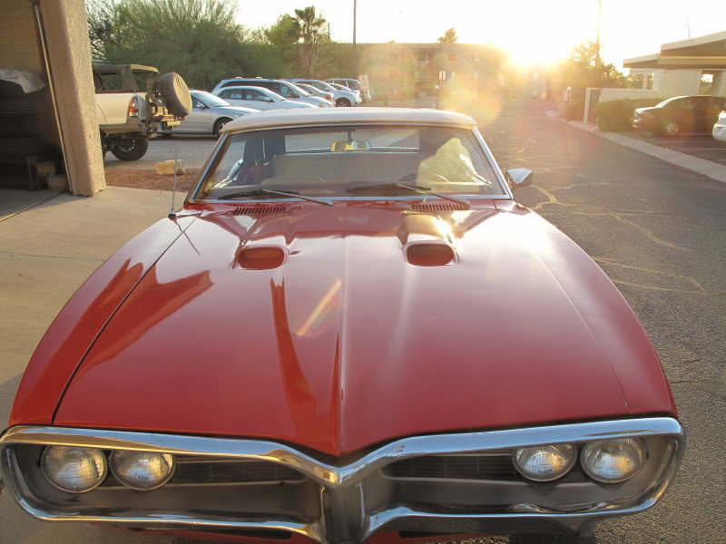 Firebird6_712dae8e5e607839f7941bc4749a77e3241d4b6d.jpg