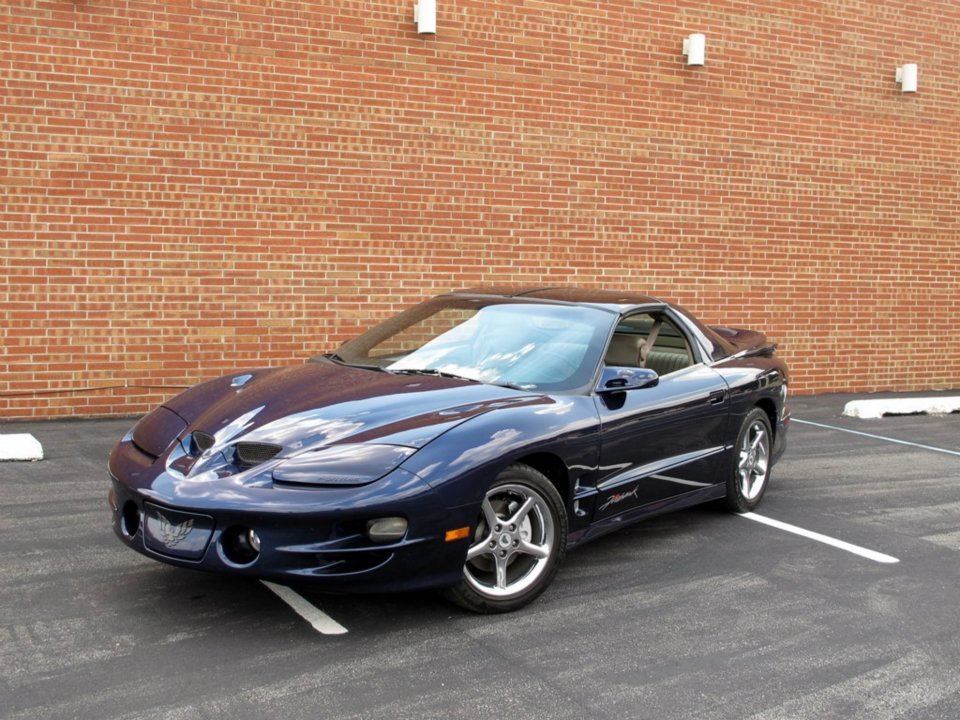 firehawk.jpg