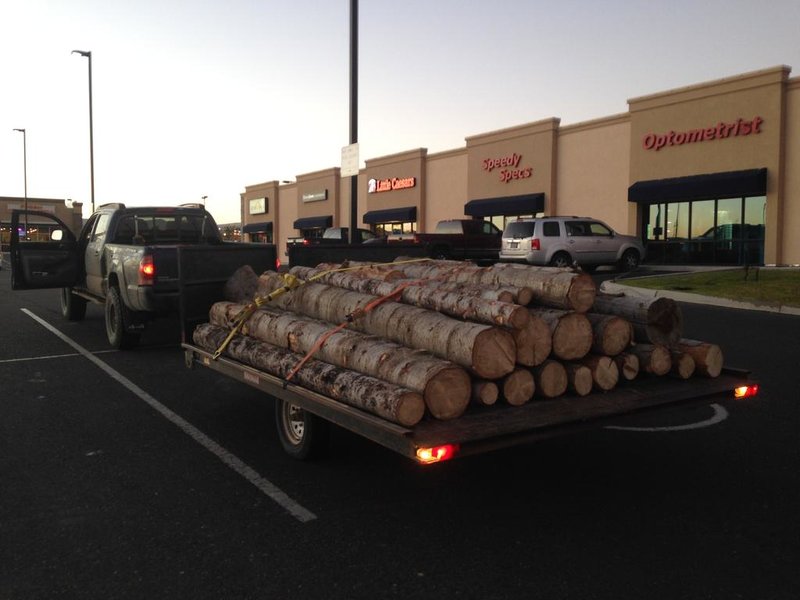 Firewood.jpg