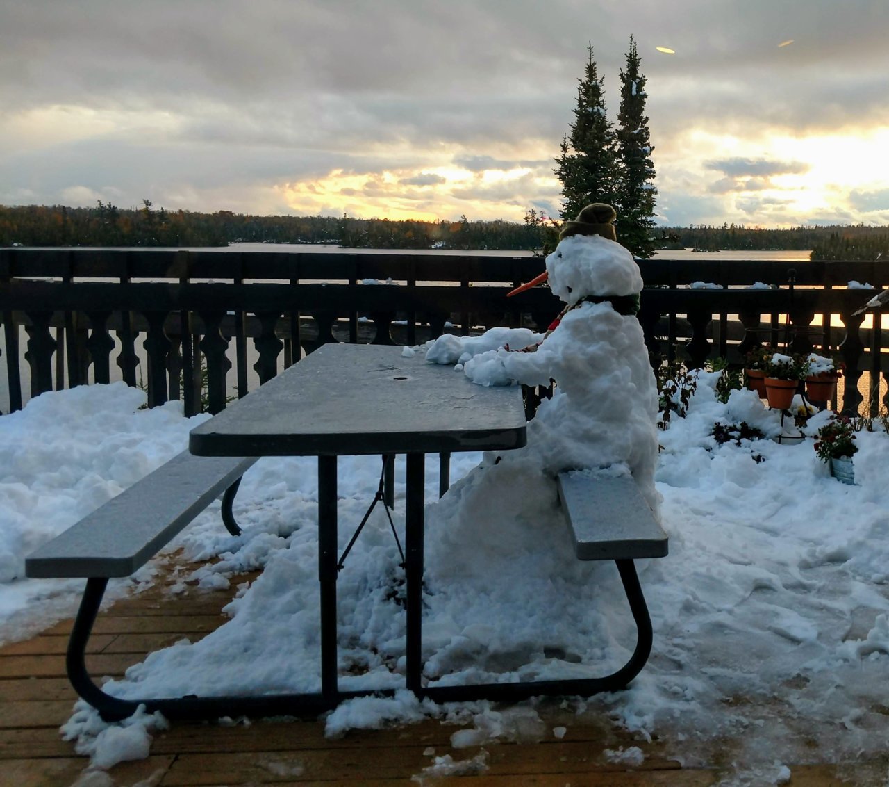 First night snow.jpg
