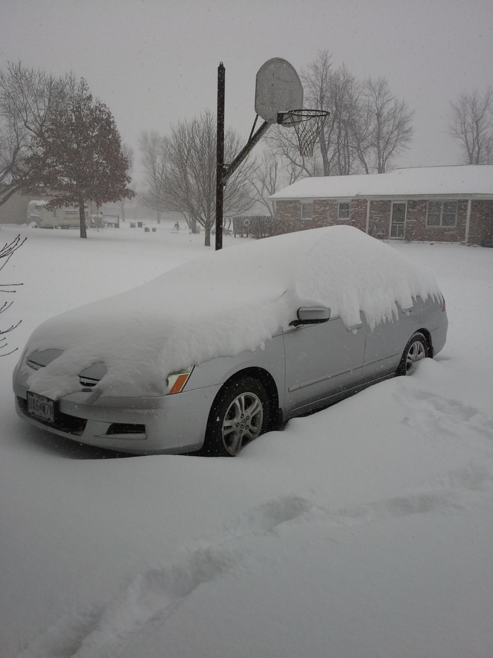 First snow 2015.jpg
