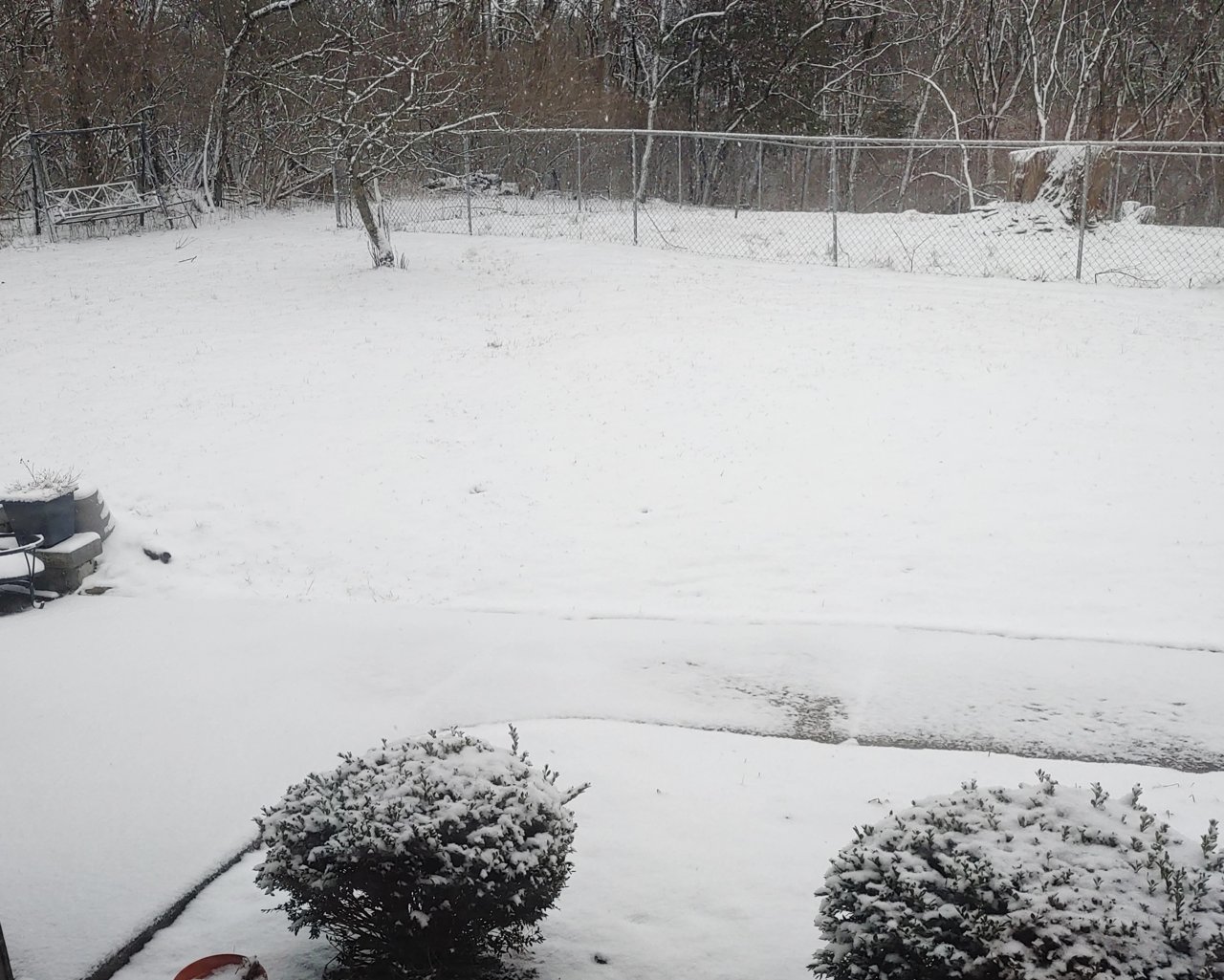 FirstSnow.jpg
