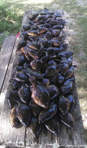 FISH.jpg