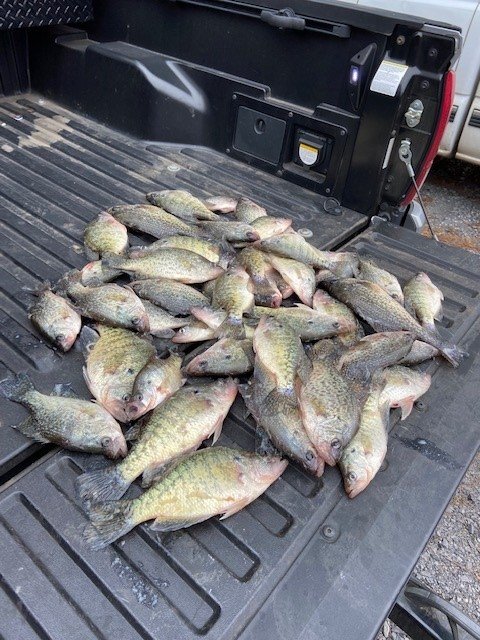 It's fishing season, post you truck setup