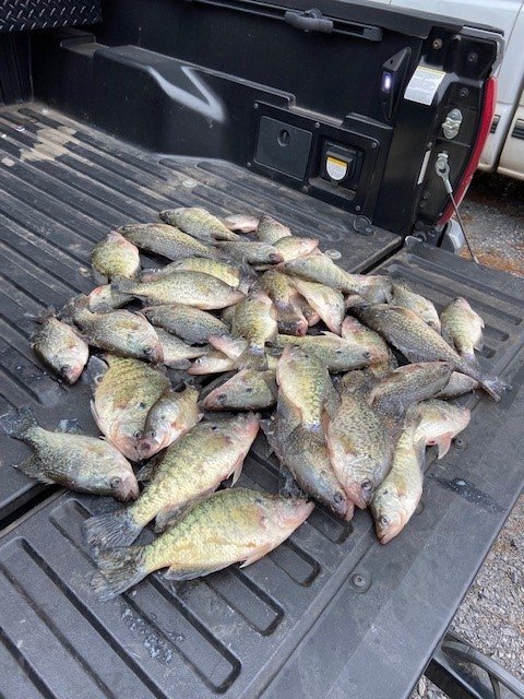 fish.jpg