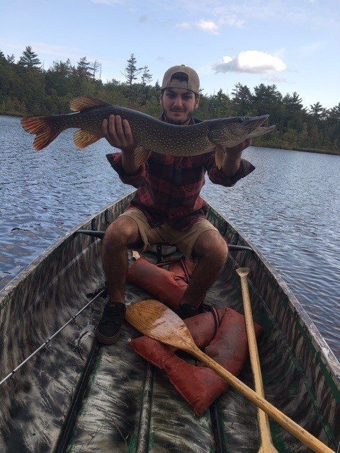 Fish.jpg